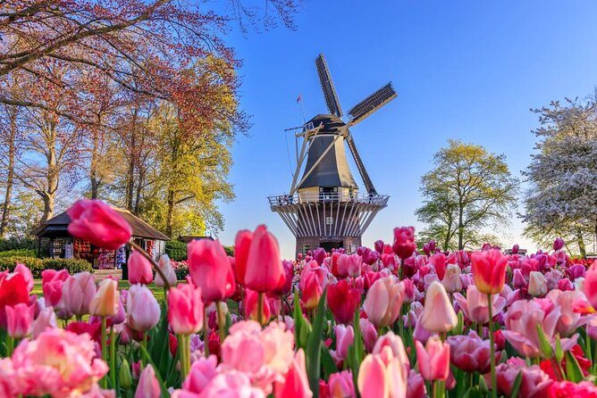 Keukenhof Tulips + Zaanse Schans Windmills: Two Dutch Icons in One Full Day